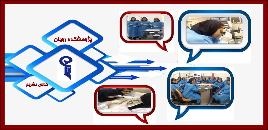 پژوهشکده رویان